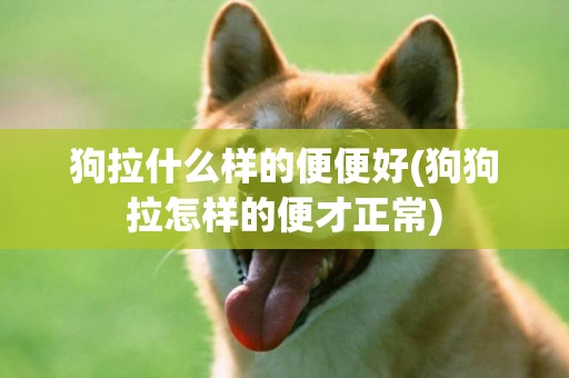狗拉什么樣的便便好(狗狗拉怎樣的便才正常)