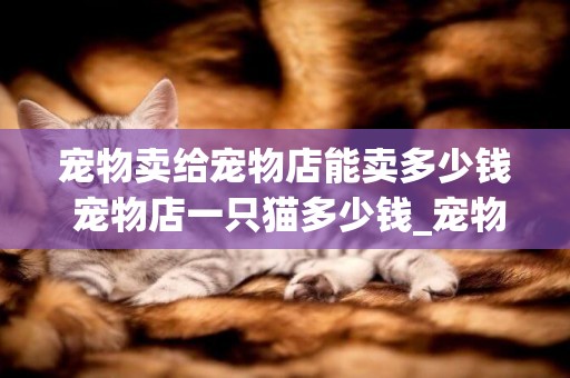 寵物賣給寵物店能賣多少錢 寵物店一只貓多少錢_寵物店狗價目表 
