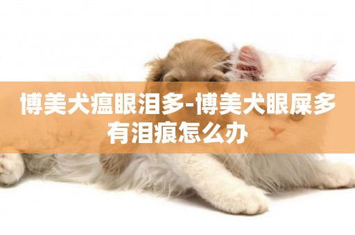 博美犬瘟眼淚多-博美犬眼屎多有淚痕怎么辦