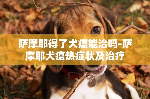 薩摩耶得了犬瘟能治嗎-薩摩耶犬瘟熱癥狀及治療