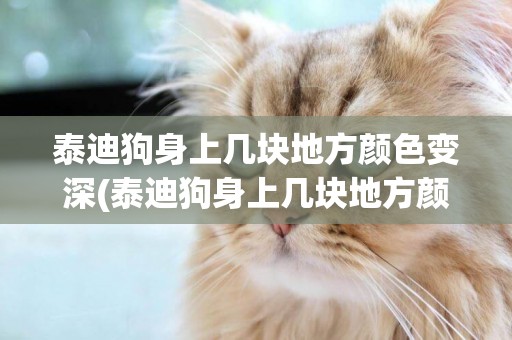 泰迪狗身上幾塊地方顏色變深(泰迪狗身上幾塊地方顏色變深了)