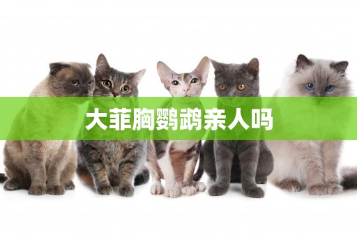 大菲胸鸚鵡親人嗎