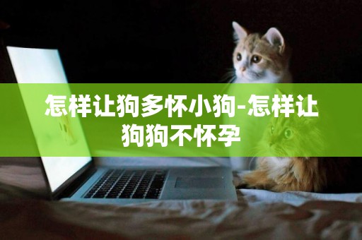 怎樣讓狗多懷小狗-怎樣讓狗狗不懷孕