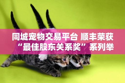 同城寵物交易平臺 順豐榮獲“最佳股東關系獎”系列舉措有力提振市場信心 
