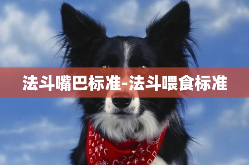 法斗嘴巴標準-法斗喂食標準