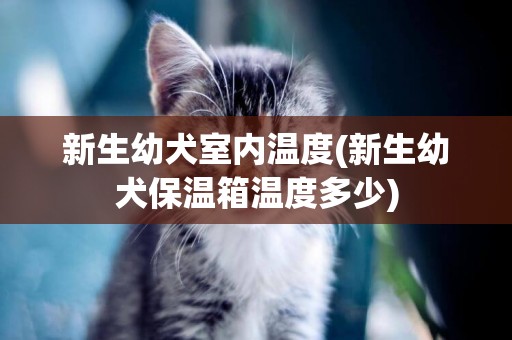 新生幼犬室內溫度(新生幼犬保溫箱溫度多少)