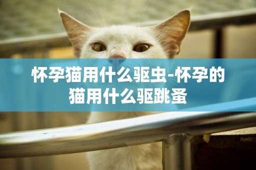 懷孕貓用什么驅蟲-懷孕的貓用什么驅跳蚤
