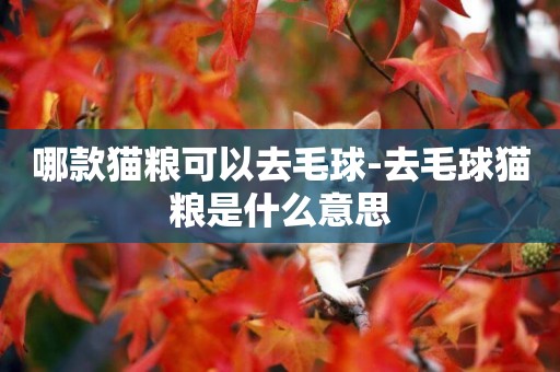 哪款貓糧可以去毛球-去毛球貓糧是什么意思