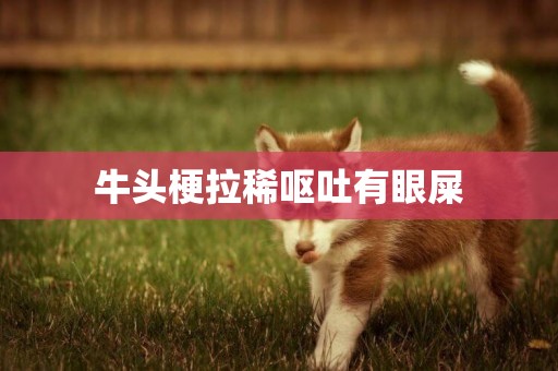 牛頭梗拉稀嘔吐有眼屎