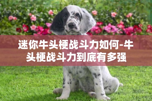 迷你牛頭梗戰斗力如何-牛頭梗戰斗力到底有多強