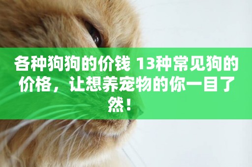 各種狗狗的價錢 13種常見狗的價格，讓想養寵物的你一目了然！ 