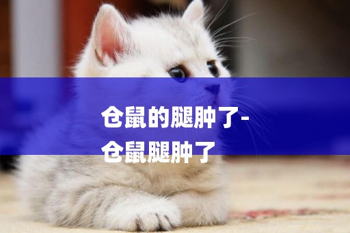 倉鼠的腿腫了-
倉鼠腿腫了