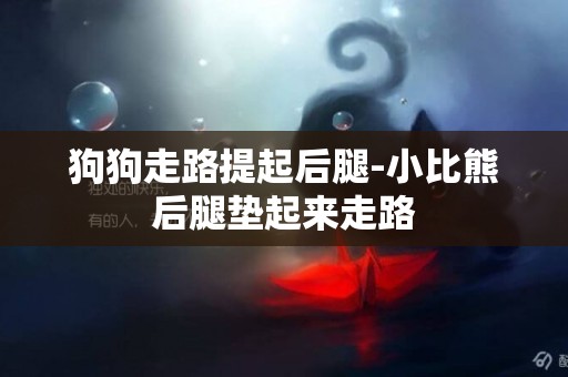 狗狗走路提起后腿-小比熊后腿墊起來走路