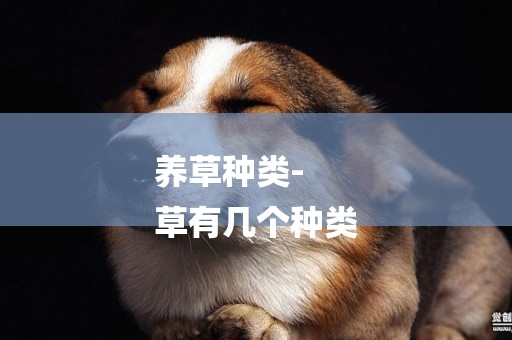 養草種類-
草有幾個種類