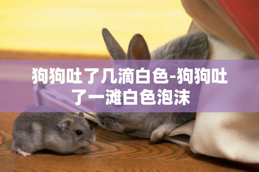 狗狗吐了幾滴白色-狗狗吐了一灘白色泡沫