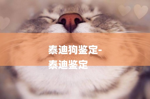 泰迪狗鑒定-
泰迪鑒定