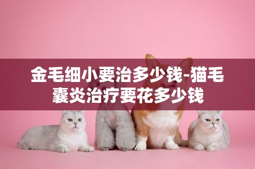 金毛細小要治多少錢-貓毛囊炎治療要花多少錢