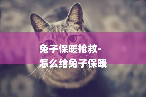 兔子保暖搶救-
怎么給兔子保暖