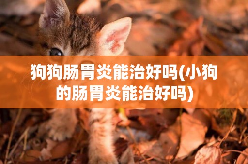 狗狗腸胃炎能治好嗎(小狗的腸胃炎能治好嗎)