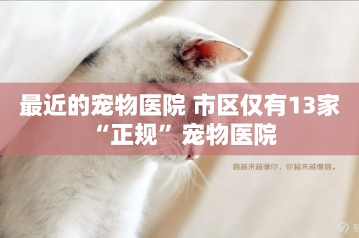 最近的寵物醫院 市區僅有13家“正規”寵物醫院 