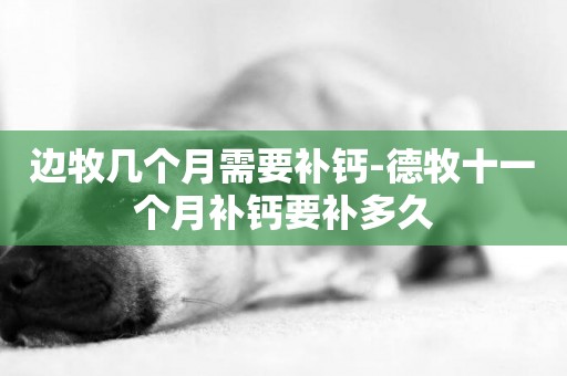 邊牧幾個月需要補鈣-德牧十一個月補鈣要補多久