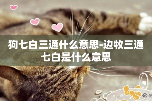 狗七白三通什么意思-邊牧三通七白是什么意思