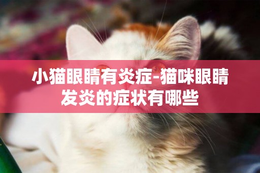 小貓眼睛有炎癥-貓咪眼睛發炎的癥狀有哪些