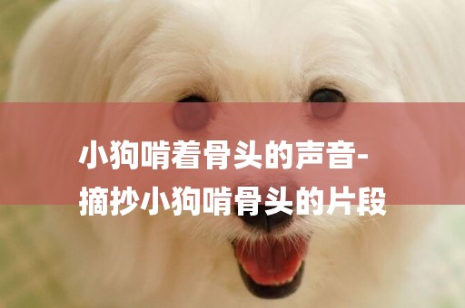 小狗啃著骨頭的聲音-
摘抄小狗啃骨頭的片段