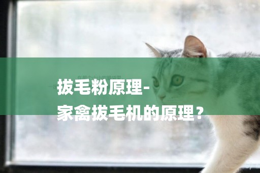 拔毛粉原理-
家禽拔毛機的原理？