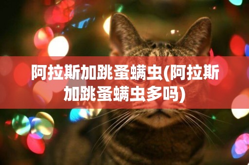 阿拉斯加跳蚤螨蟲(阿拉斯加跳蚤螨蟲多嗎)