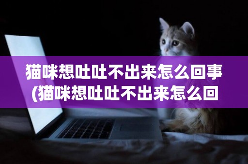貓咪想吐吐不出來怎么回事(貓咪想吐吐不出來怎么回事吃什么藥)