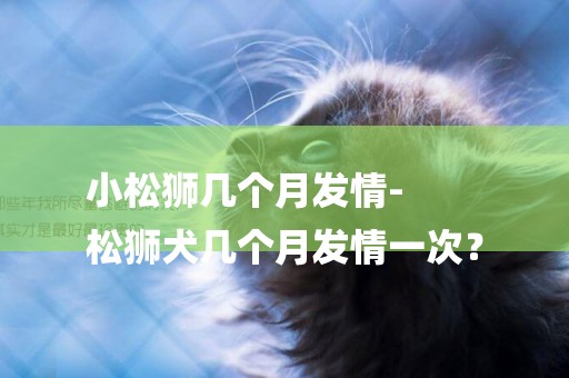 小松獅幾個月發情-
松獅犬幾個月發情一次？