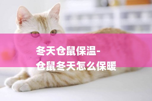 冬天倉鼠保溫-
倉鼠冬天怎么保暖
