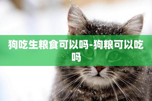 狗吃生糧食可以嗎-狗糧可以吃嗎