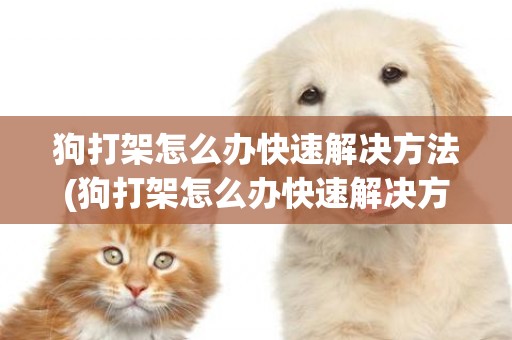 狗打架怎么辦快速解決方法(狗打架怎么辦快速解決方法圖片)