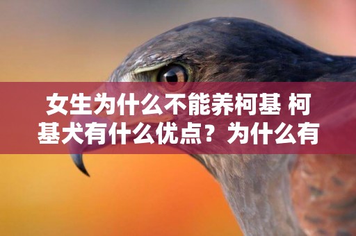 女生為什么不能養柯基 柯基犬有什么優點？為什么有的寵物主人養完其他狗就不再養了？ 