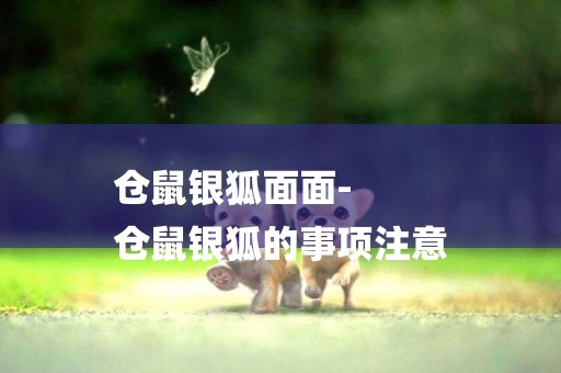 倉鼠銀狐面面-
倉鼠銀狐的事項注意