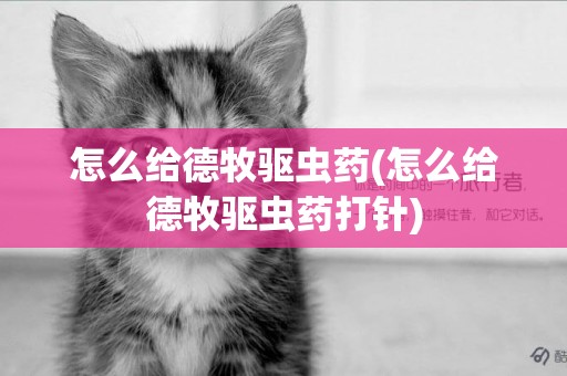怎么給德牧驅蟲藥(怎么給德牧驅蟲藥打針)
