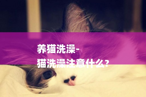 養貓洗澡-
貓洗澡注意什么?
