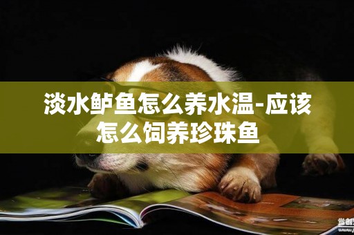 淡水鱸魚怎么養水溫-應該怎么飼養珍珠魚