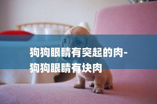 狗狗眼睛有突起的肉-
狗狗眼睛有塊肉