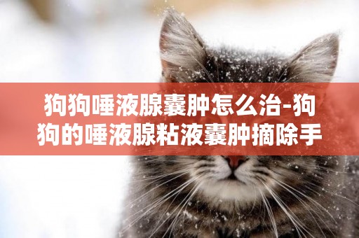 狗狗唾液腺囊腫怎么治-狗狗的唾液腺粘液囊腫摘除手術