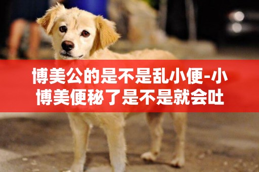博美公的是不是亂小便-小博美便秘了是不是就會吐