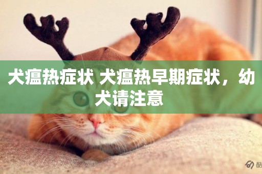 犬瘟熱癥狀 犬瘟熱早期癥狀，幼犬請注意 