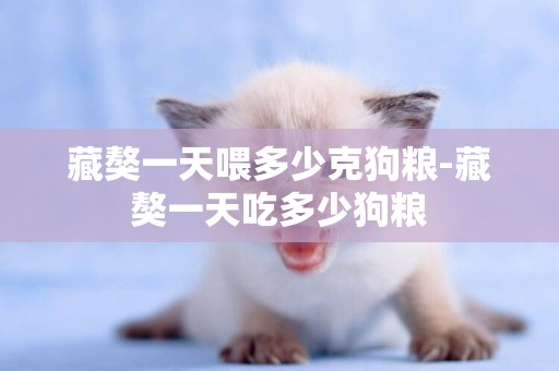藏獒一天喂多少克狗糧-藏獒一天吃多少狗糧