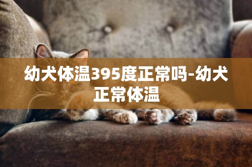 幼犬體溫395度正常嗎-幼犬正常體溫