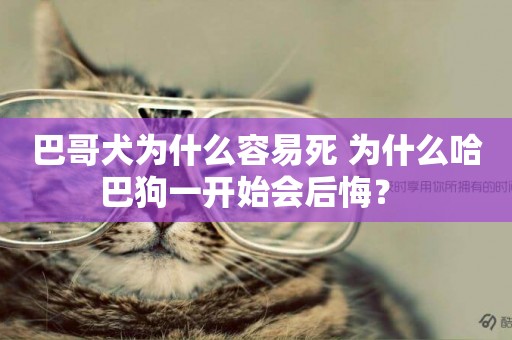 巴哥犬為什么容易死 為什么哈巴狗一開始會后悔？ 
