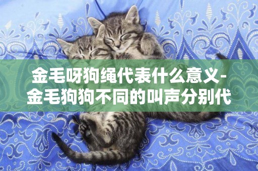 金毛呀狗繩代表什么意義-金毛狗狗不同的叫聲分別代表什么意思