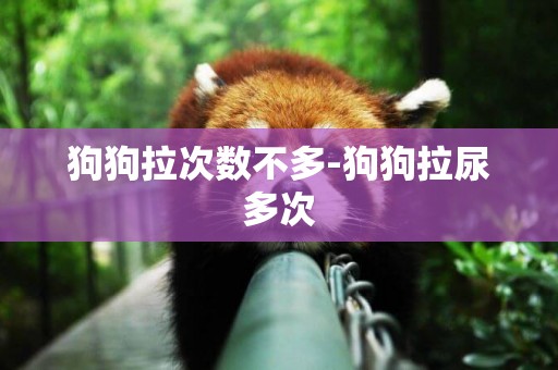 狗狗拉次數不多-狗狗拉尿多次