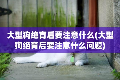 大型狗絕育后要注意什么(大型狗絕育后要注意什么問題)